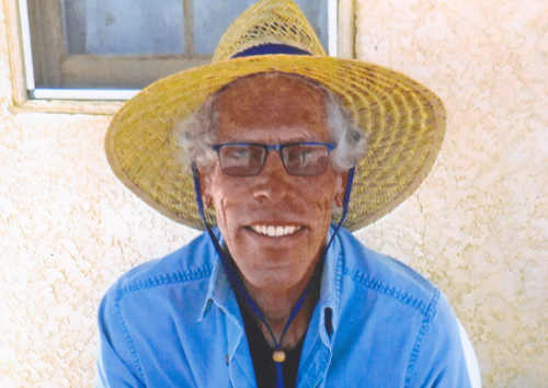 wild rabbit pictures and stories